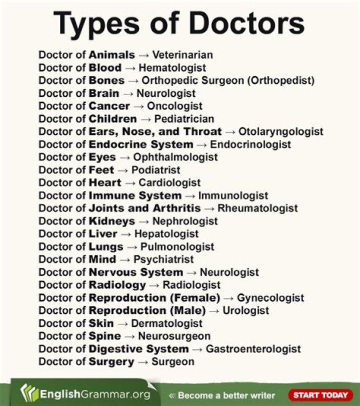 What are the different types of doctors called?