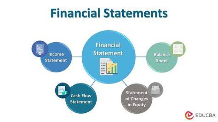 What are the different ways in which financial statements might differ across countries?
