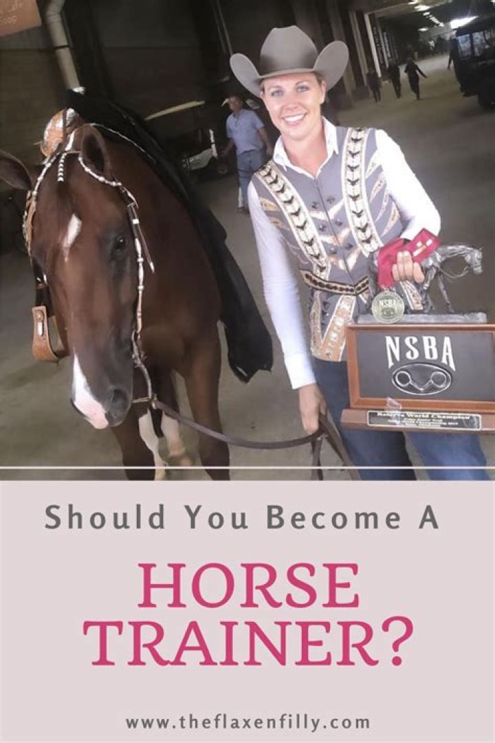 What are the disadvantages of being a horse trainer?