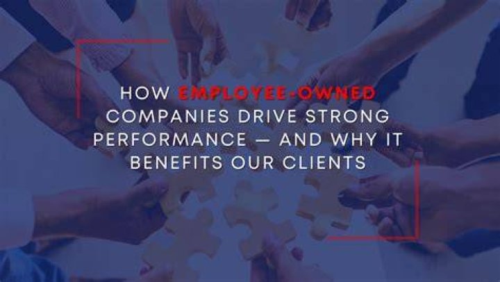 What are the disadvantages of employee owned companies?