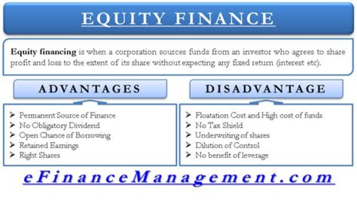 What are the disadvantages of equity funds?