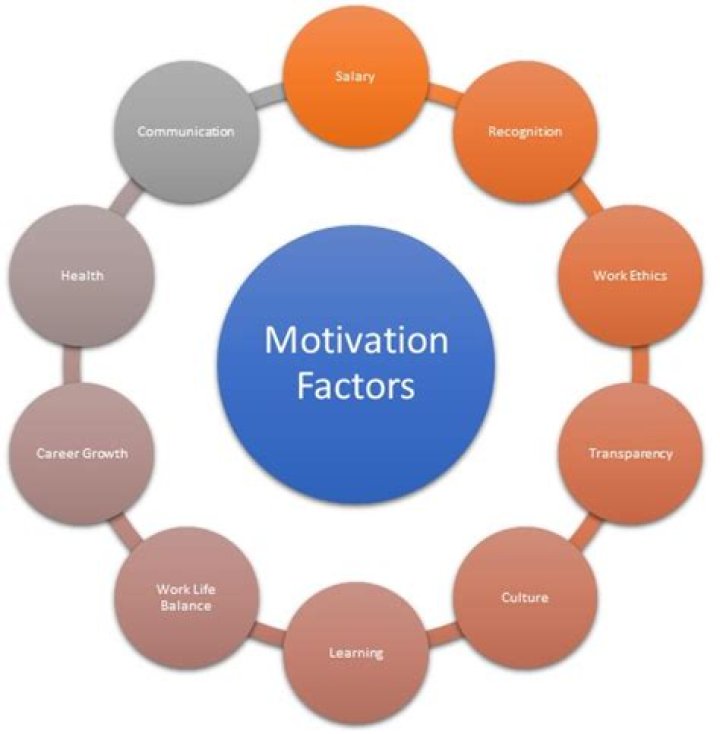 What are the factors in motivation?