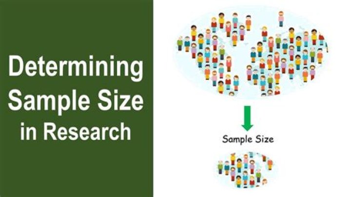 What are the factors that decide sample size?