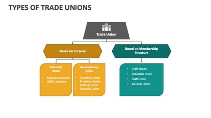 What are the four different types of unions?