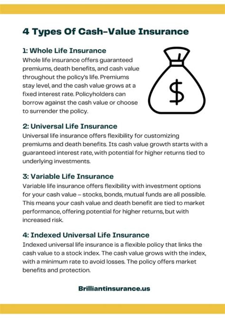 What are the four types of permanent or cash value insurance?