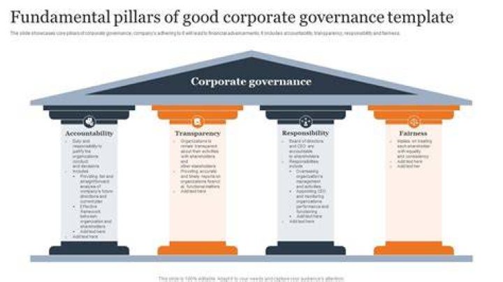 What are the governance principles?