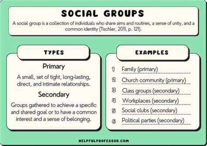 What are the groups in accounting?