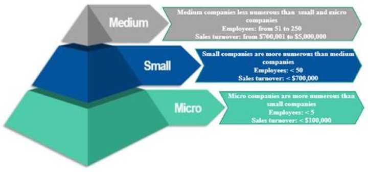 What are the importance of small and medium scale enterprises?