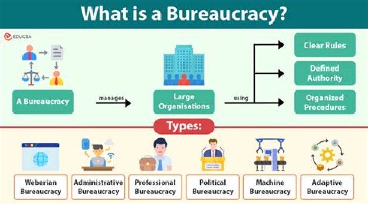 What are the important of bureaucracy?