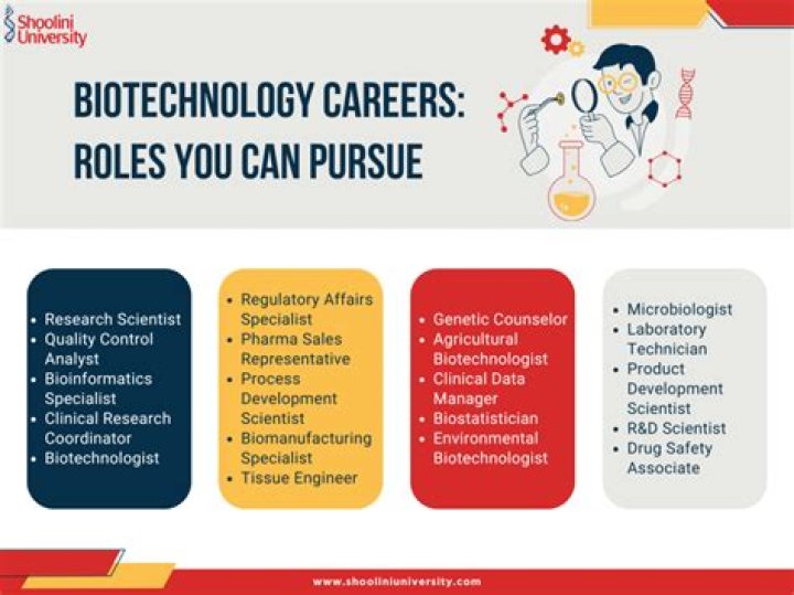 What are the job opportunities for btech biotechnology?