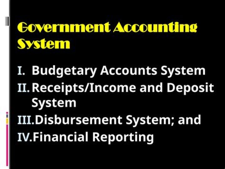 What are the local government accounting system?