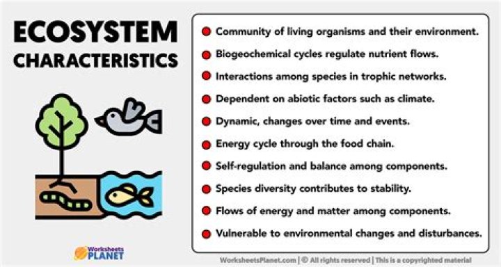 What are the main characteristics of a stable financial system?