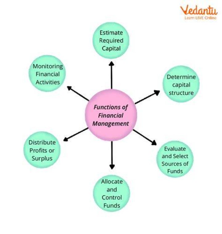 What are the main concerns for the financial management?