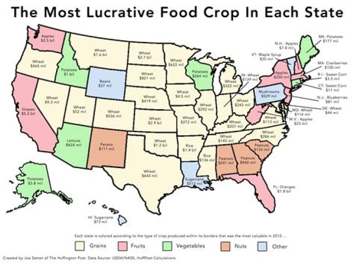 What are the main crops grown in your state?