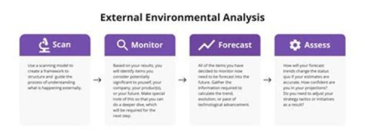 What are the main elements of the external environmental analysis?