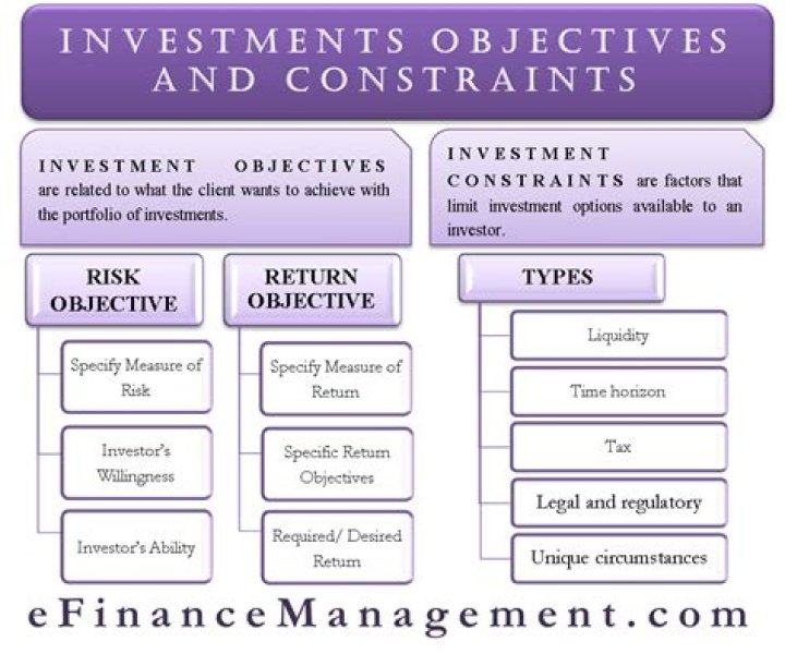 What are the main investment objectives?