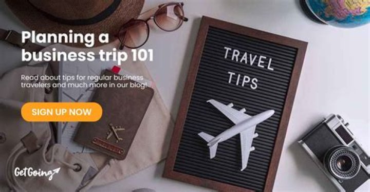 What are the main reasons for business travel?