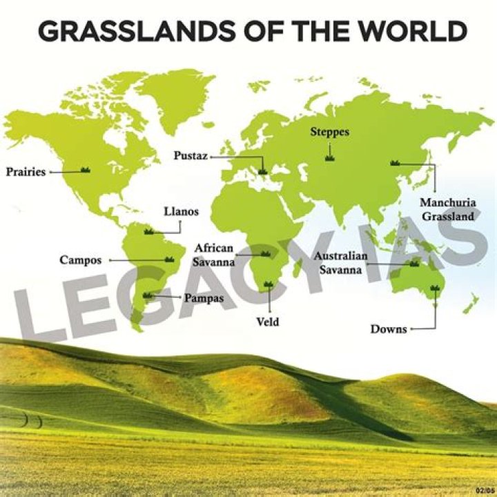 What are the major grassland of the world?