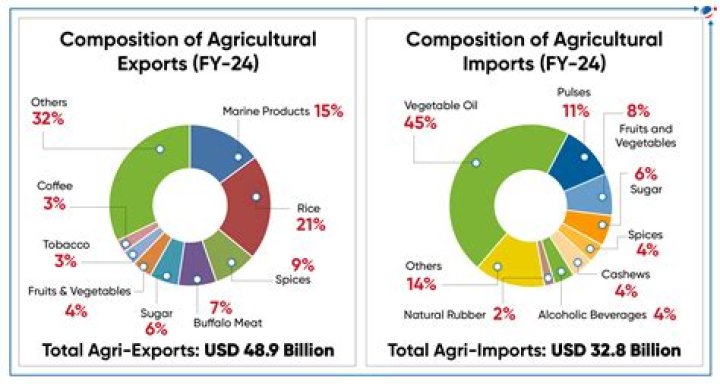 What are the major imports and exports of Thailand?