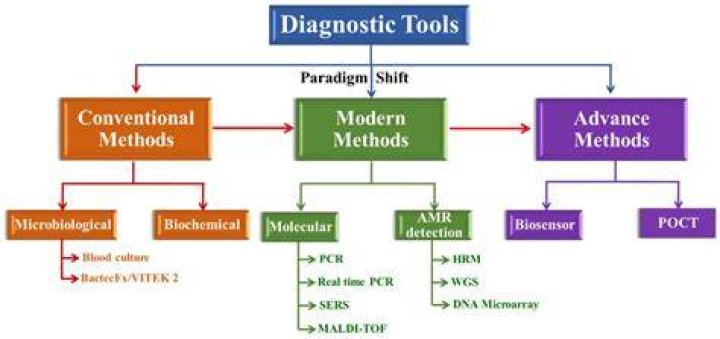 What are the methods of Organisational diagnosis?