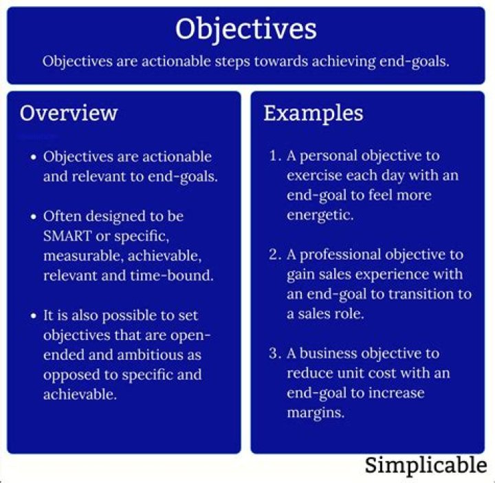 What are the objectives of an airline?
