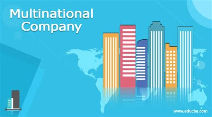 What are the objectives of multinational company?