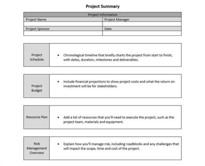 What are the parts of a project plan?