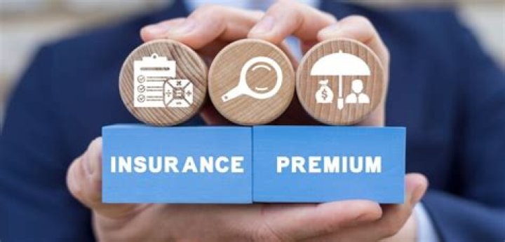 What are the premium options in life insurance?