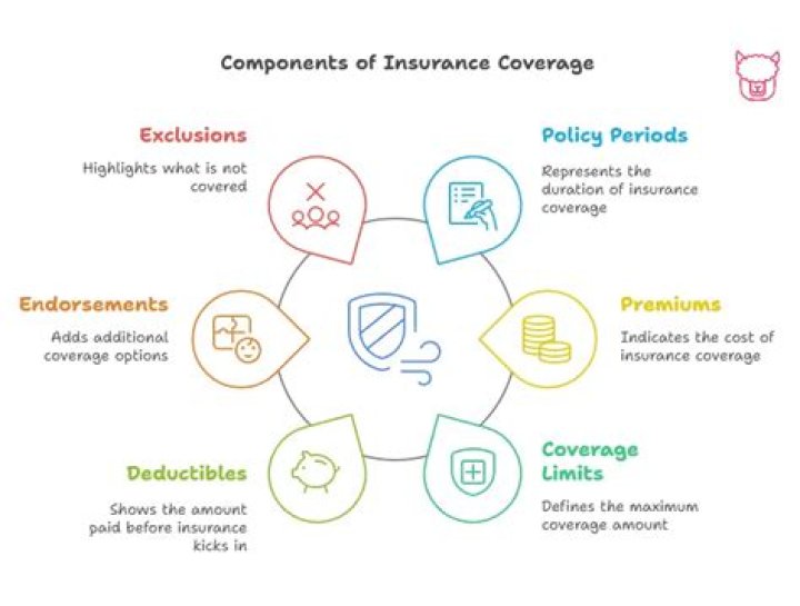 What are the primary components of an insurance policy?