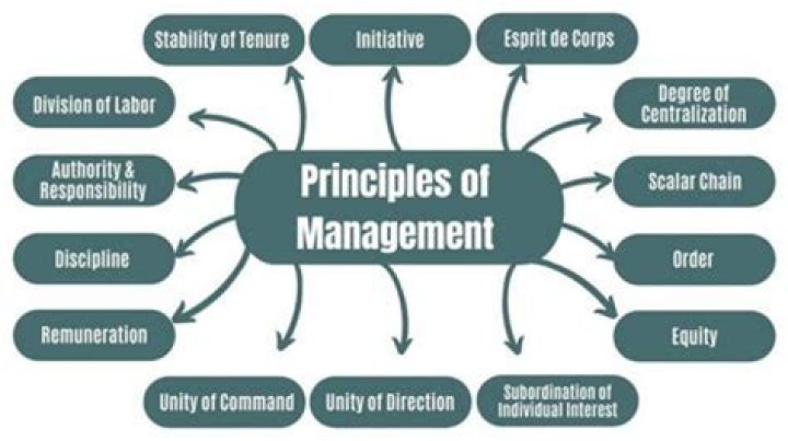 What are the principles of industrial management in an organization?