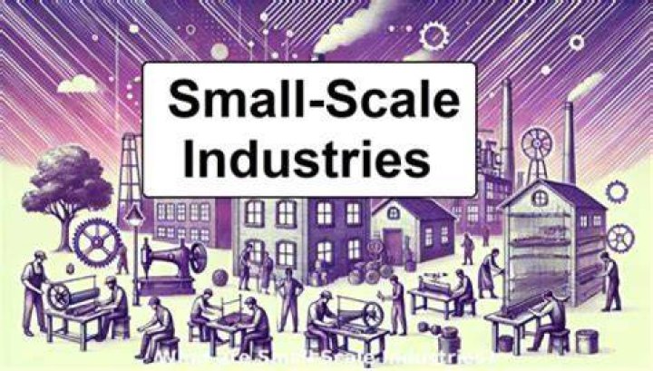 What are the problems faced by small scale industries Class 11?