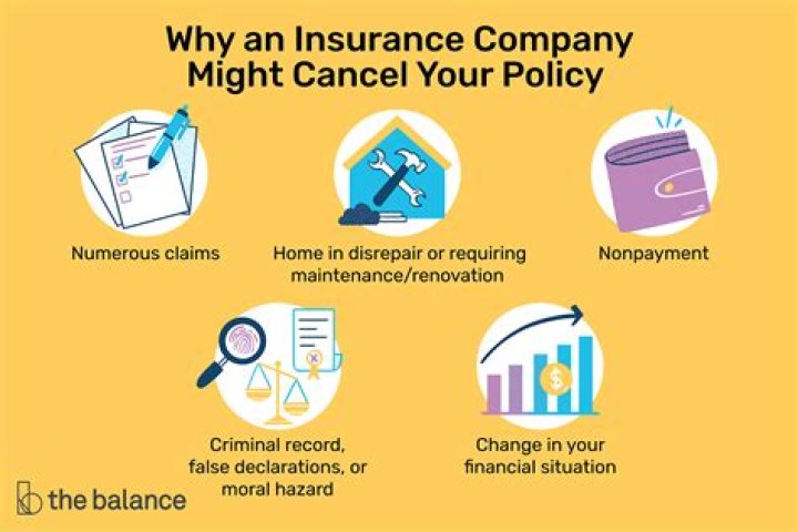 What are the reasons an insurance company might cancel your policy?