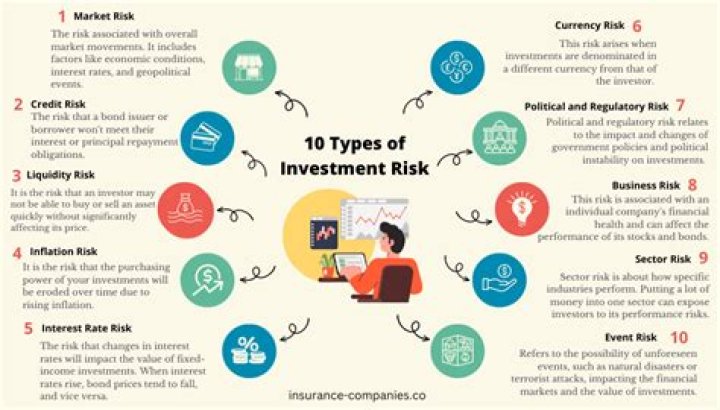 What are the risks of an investor?