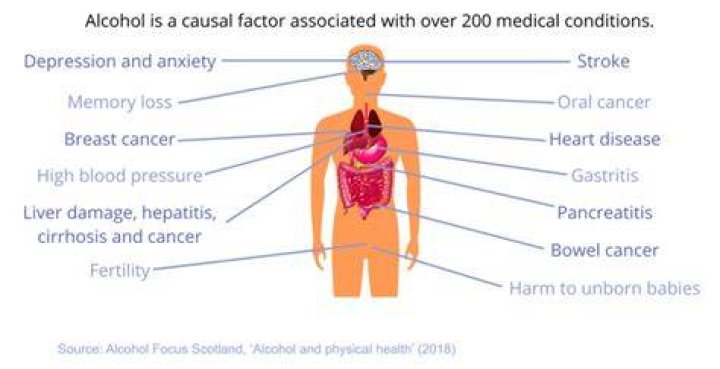 What are the social effects of excessive alcohol consumption?