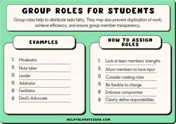 What are the three basic roles for P P officers?