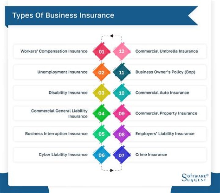 What are the three types of insurance companies?