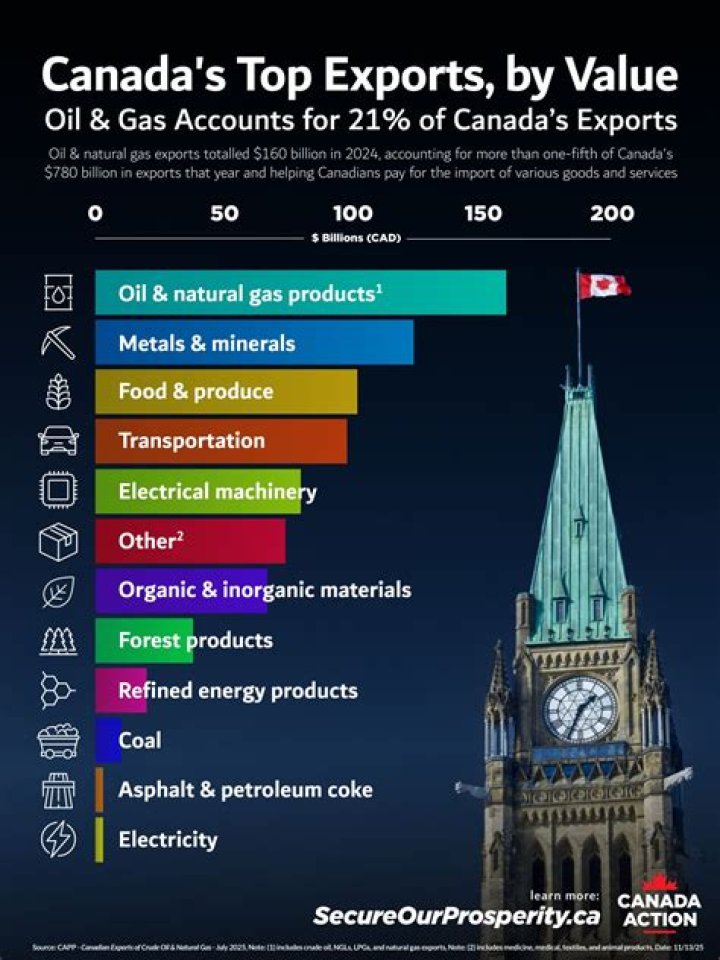 What are the top 10 Canadian exports?