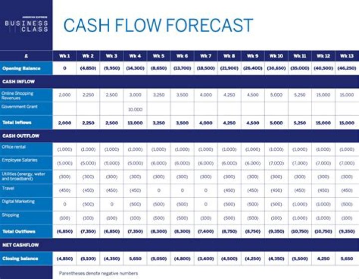 What are the two 2 main type of cash flow forecast?