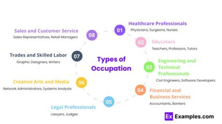 What are the types occupation?