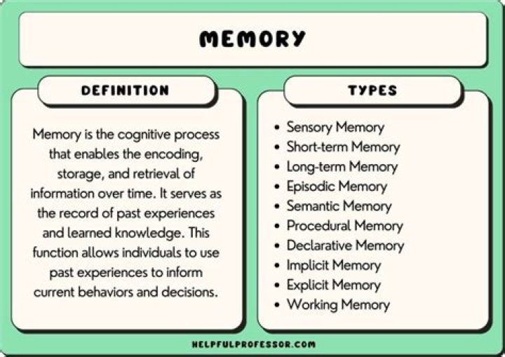 What are the types of a memo?
