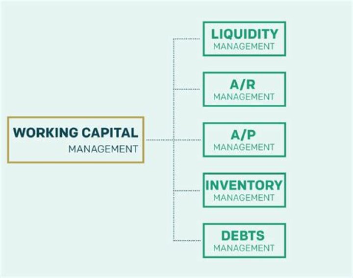 What are the types of working capital management?
