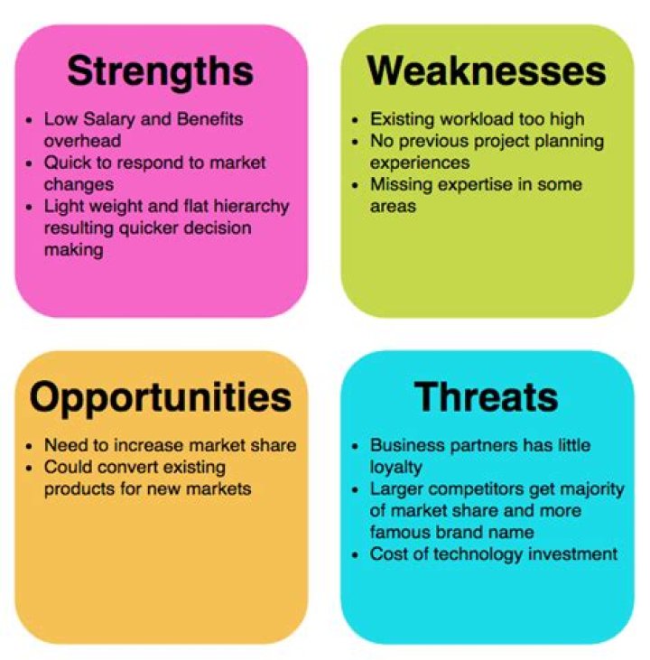 What are the weaknesses of insurance companies?