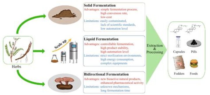 What are three applications of fermentation?