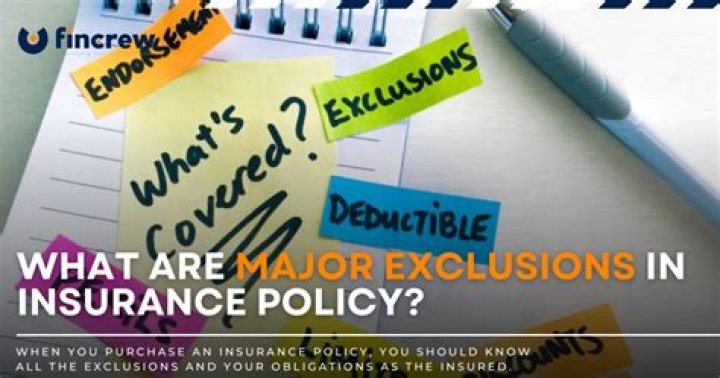 What are typical exclusions in an insurance policy?