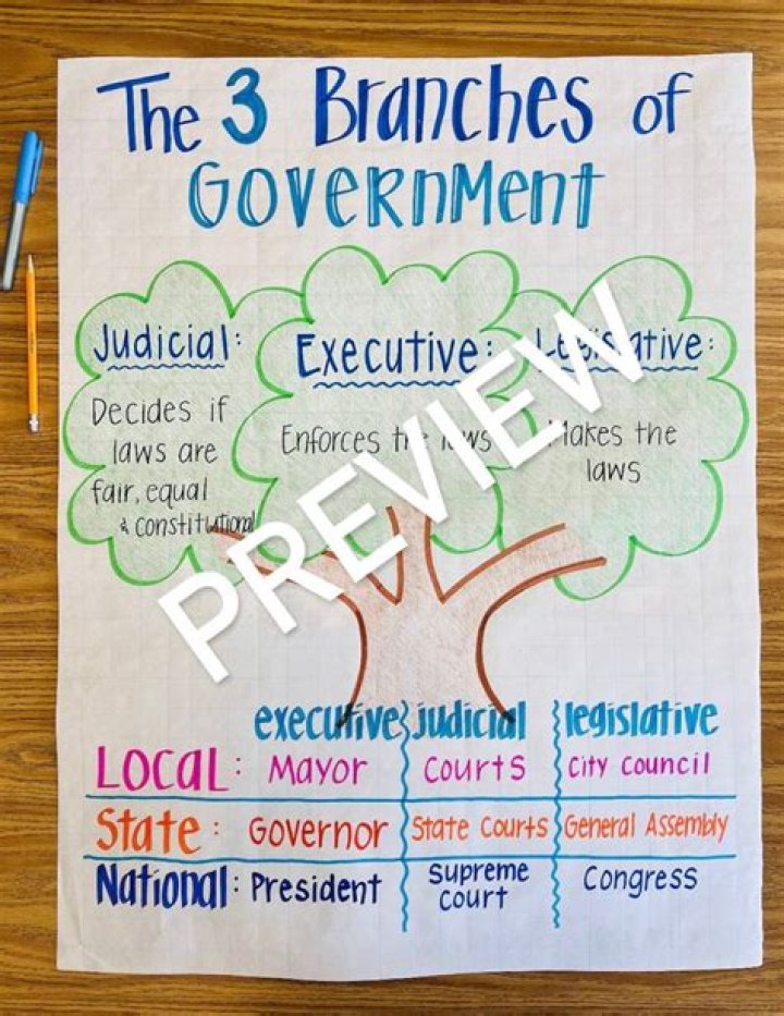 What branch of government oversees the IRS?