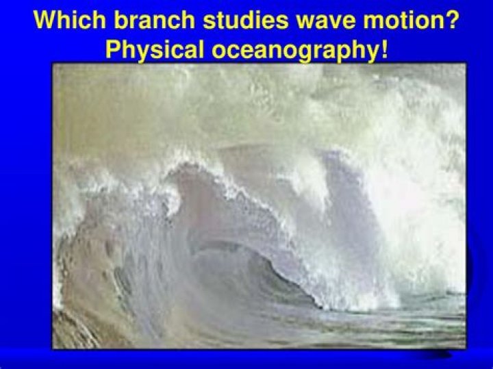 What branch of oceanography Studies waves?