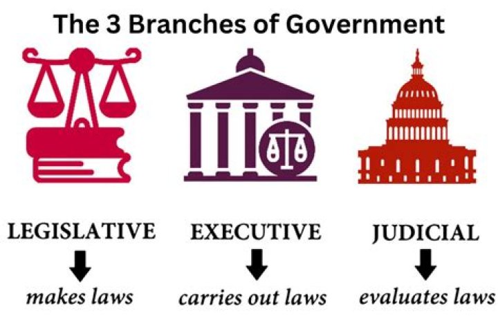 What branch of the government levies taxes?