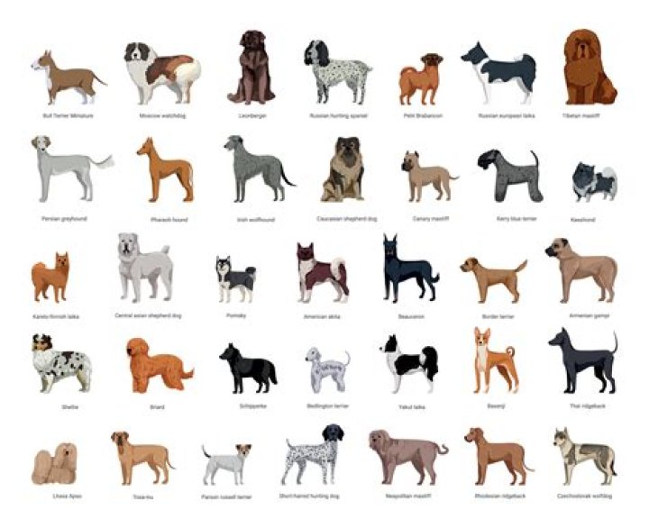 What breed of dogs are not covered by homeowners insurance?
