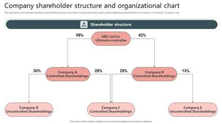 What can a 50% shareholder do?