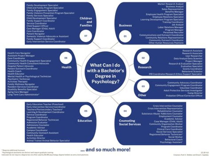 What can I do with a bachelors in sociology?